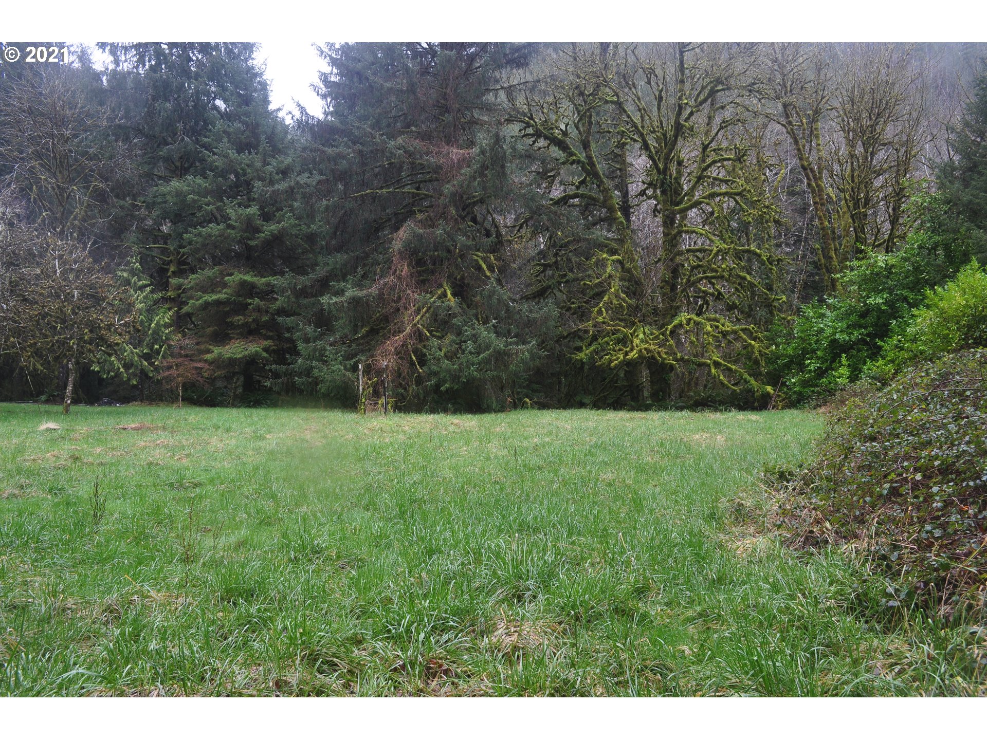 314 North New Bridge Road Otis, OR 97368 - Photo 11 of 25 Gallery Image 11