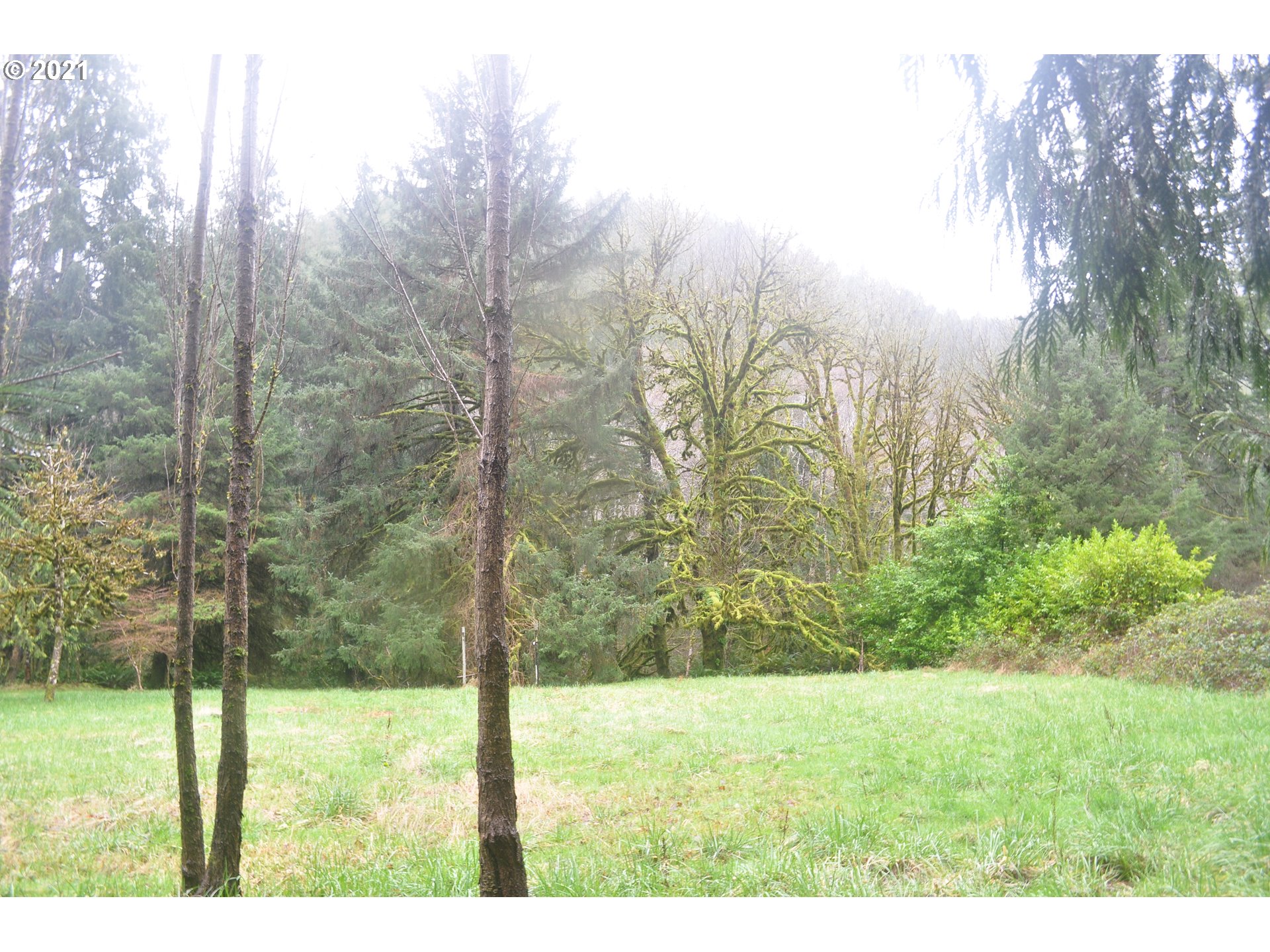 314 North New Bridge Road Otis, OR 97368 - Photo 13 of 25 Gallery Image 13