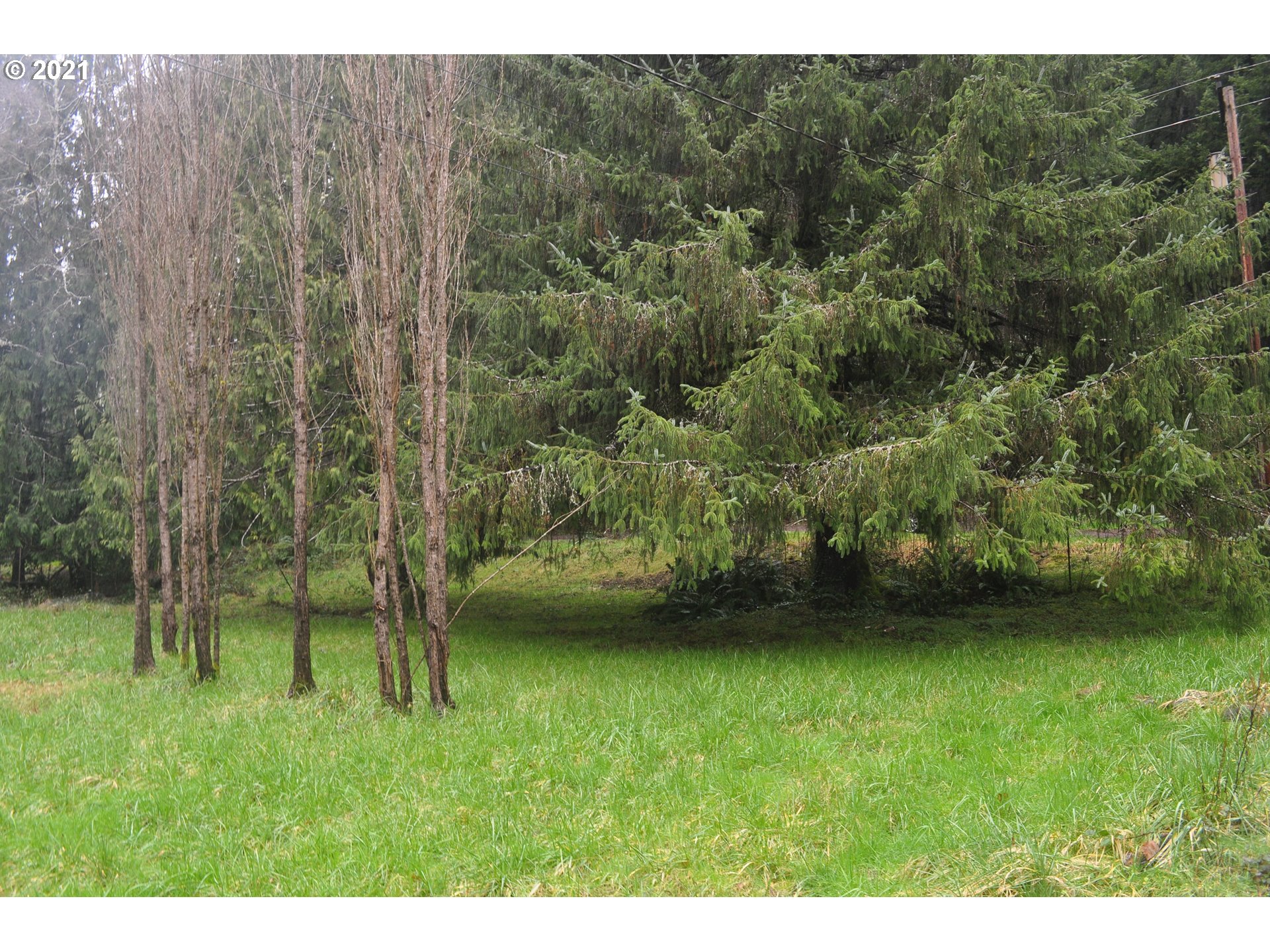 314 North New Bridge Road Otis, OR 97368 - Photo 3 of 25 Gallery Image 3