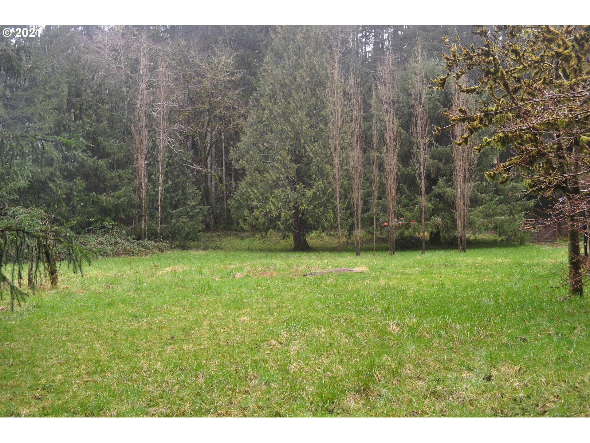 314 North New Bridge Road Otis, OR 97368 - Photo 5 of 25 Gallery Image 5