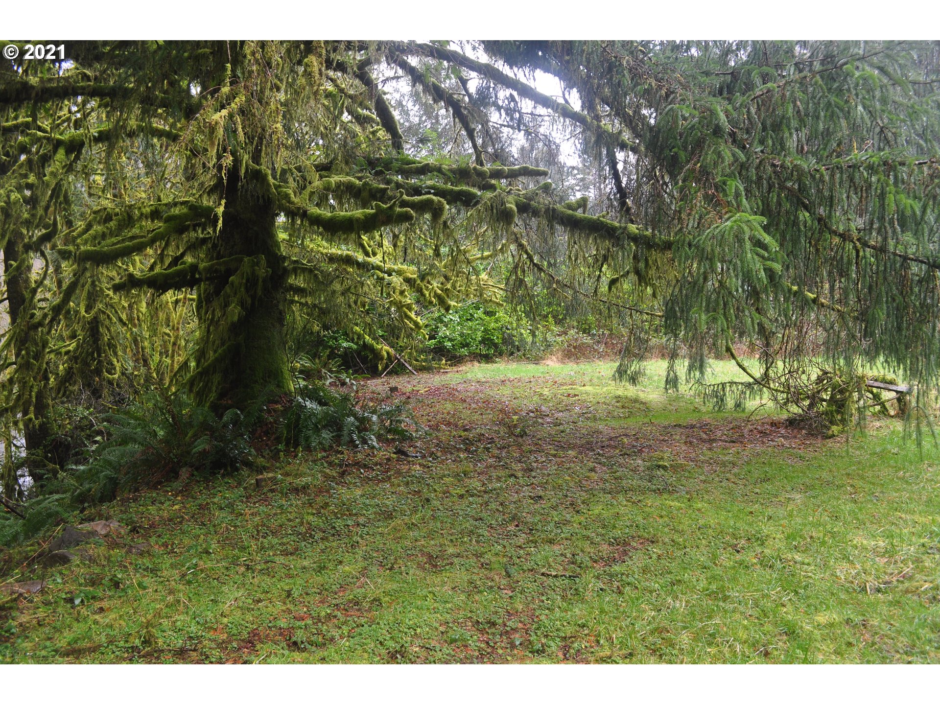 314 North New Bridge Road Otis, OR 97368 - Photo 6 of 25 Gallery Image 6