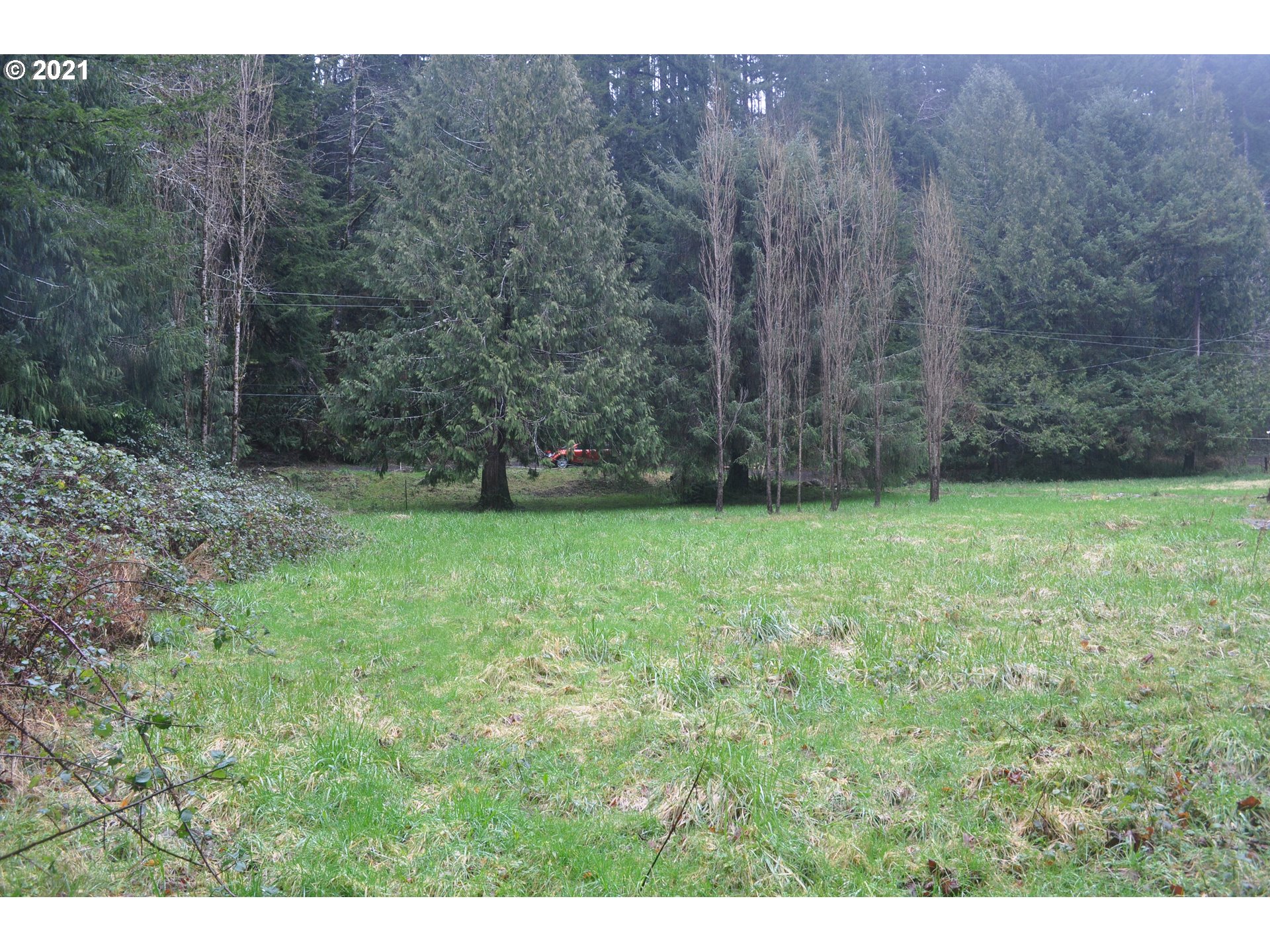 314 North New Bridge Road Otis, OR 97368 - Photo 10 of 25 Gallery Image 10
