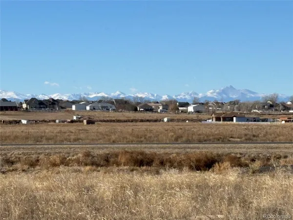 a view of large trees and a beach