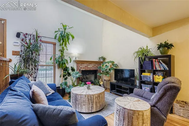 a living room with furniture a fireplace and a potted plant