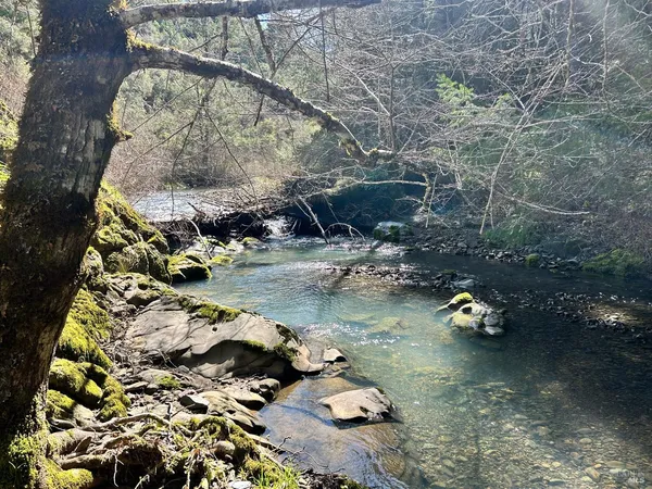a view of swimming pool with a yard