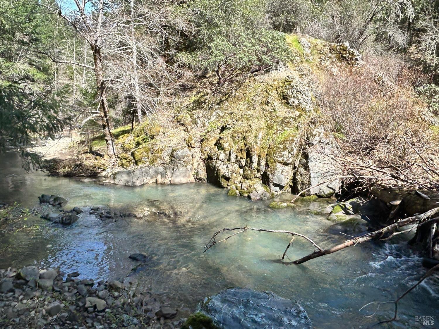 21165 Tomki Road Willits, CA 95490 - Photo 16 of 23 a view of a yard