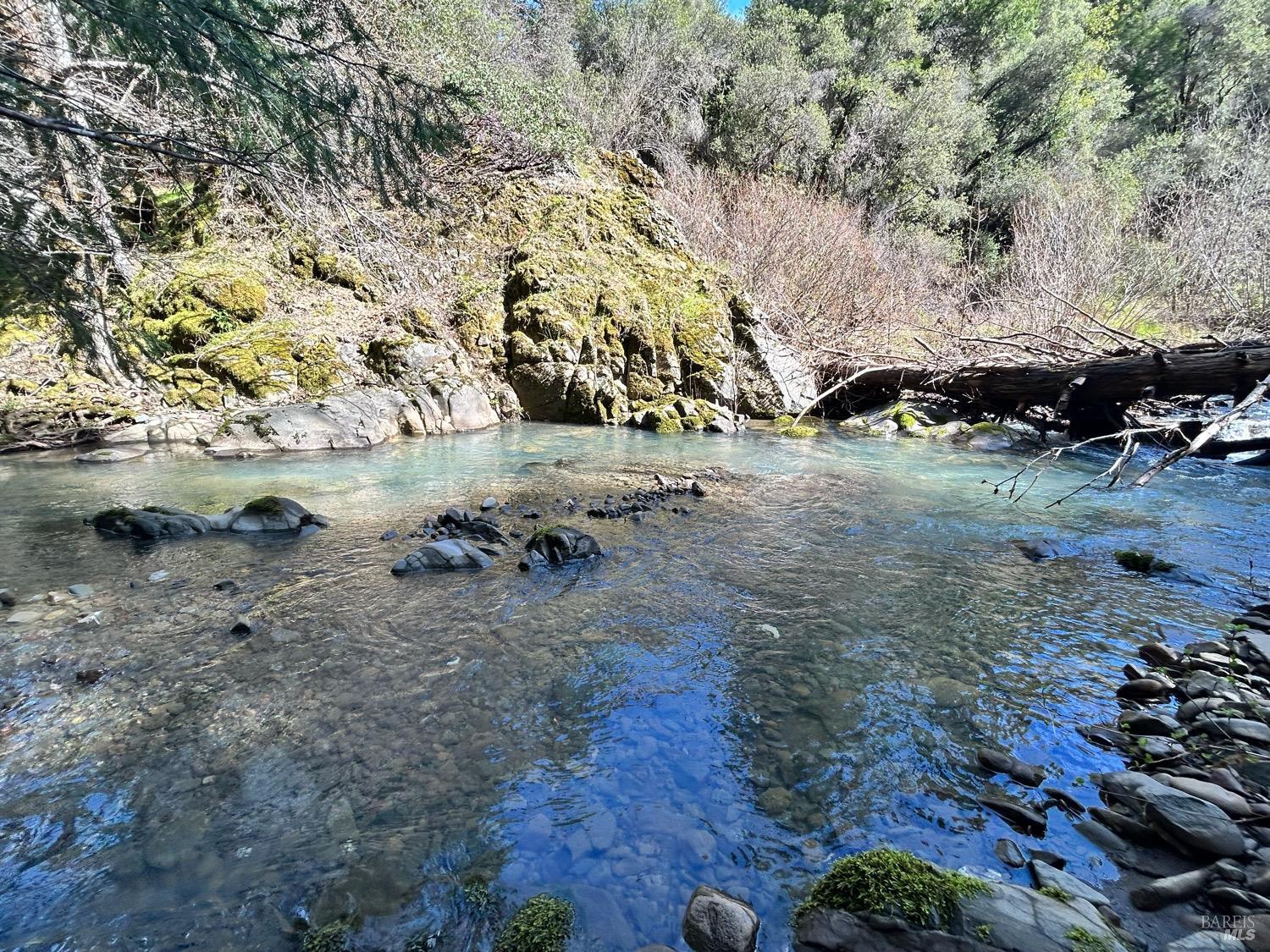 21165 Tomki Road Willits, CA 95490 - Photo 17 of 23 a view of dirt yard with a tree