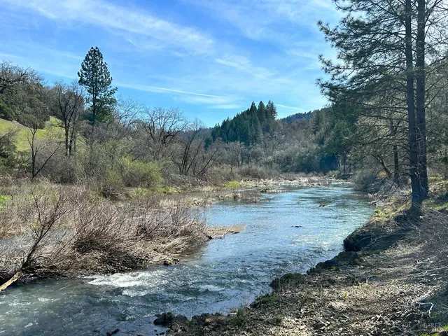 a view of a yard with a tree