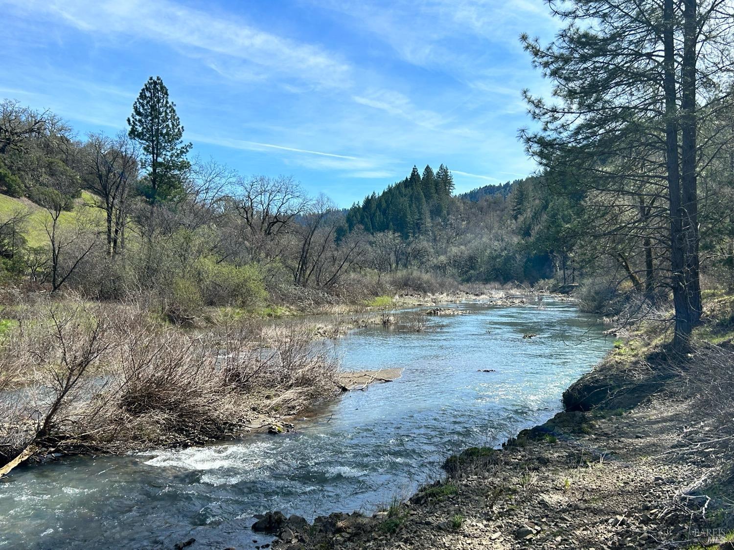 21165 Tomki Road Willits, CA 95490 - Photo 2 of 23 a view of a yard with a tree