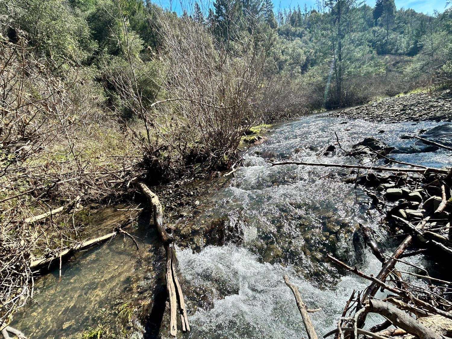 21165 Tomki Road Willits, CA 95490 - Photo 21 of 23 a view of a forest with a tree