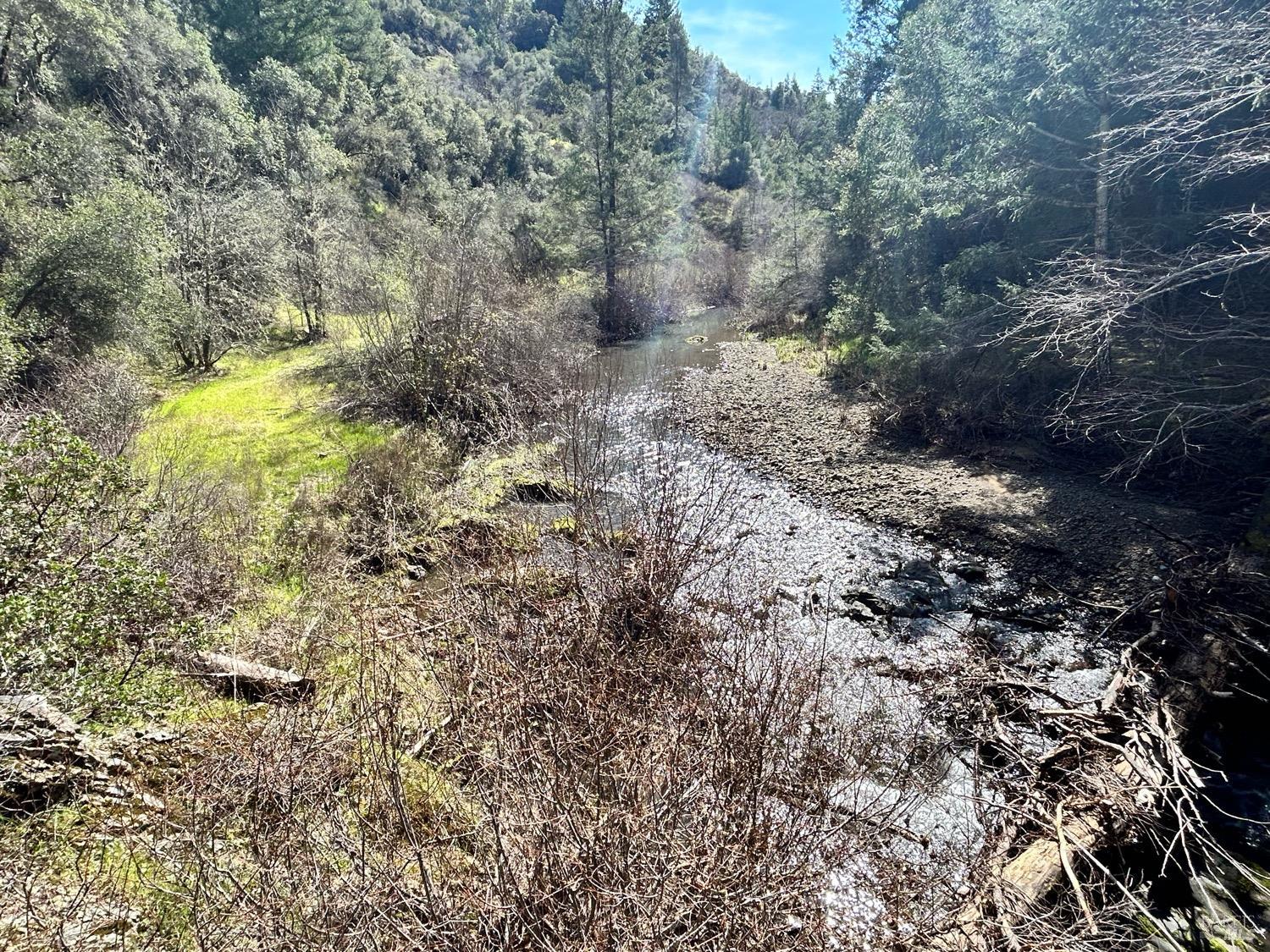 21165 Tomki Road Willits, CA 95490 - Photo 22 of 23 a view of a yard with a tree