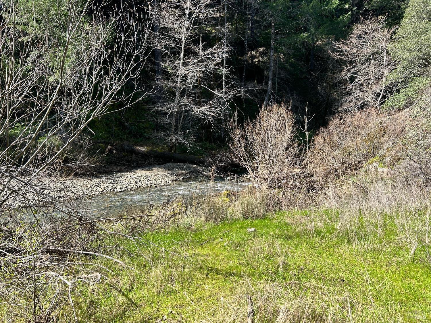 21165 Tomki Road Willits, CA 95490 - Photo 7 of 23 a view of a yard with large trees