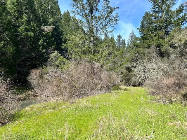 a view of yard with green space