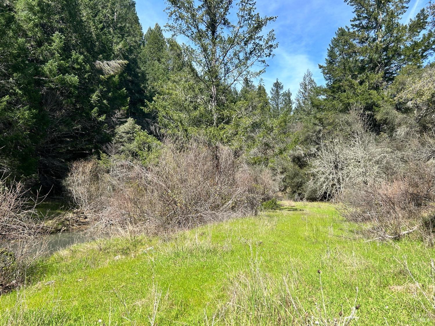 21165 Tomki Road Willits, CA 95490 - Photo 8 of 23 a view of yard with green space