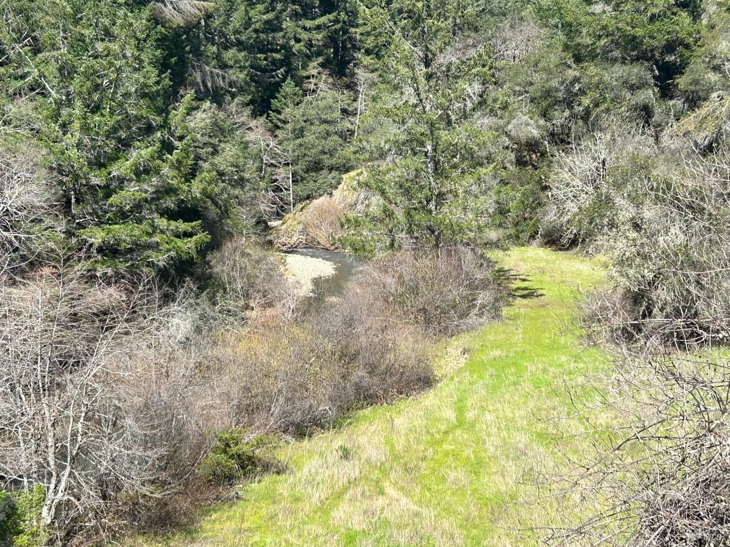 21165 Tomki Road Willits, CA 95490 - Photo 9 of 23 a view of a yard with large trees