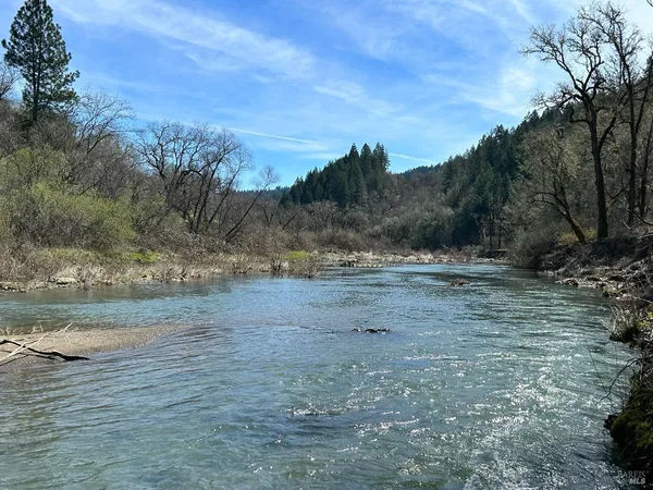 a view of dirt yard with large trees