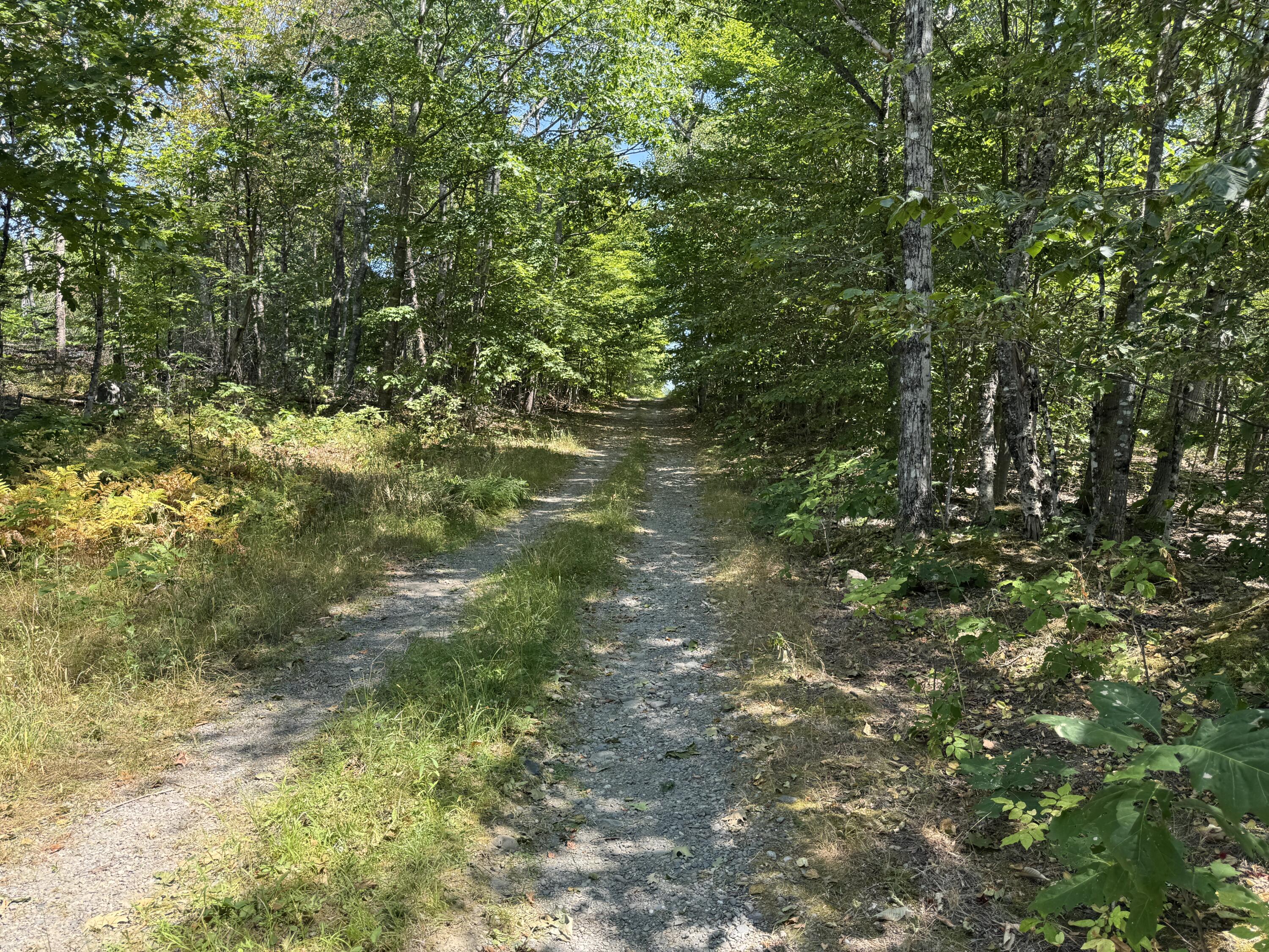 0 Jackman Corner Road Sangerville, ME 04479 - Photo 4 of 15 IMG_8364