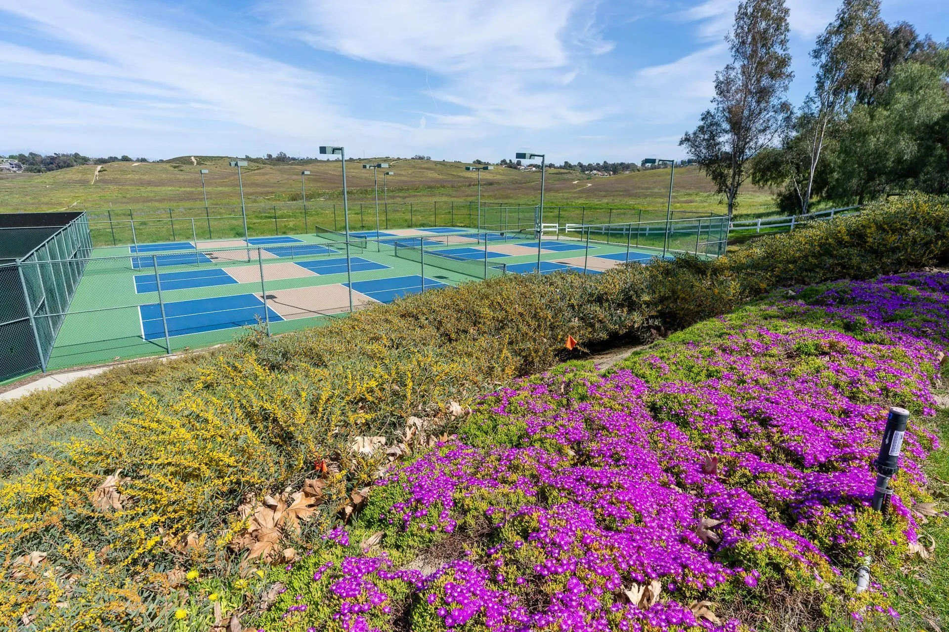 30603 Del Rey Road Temecula, CA 92591 - Photo 54 of 58 a view of a lake with a building in the background