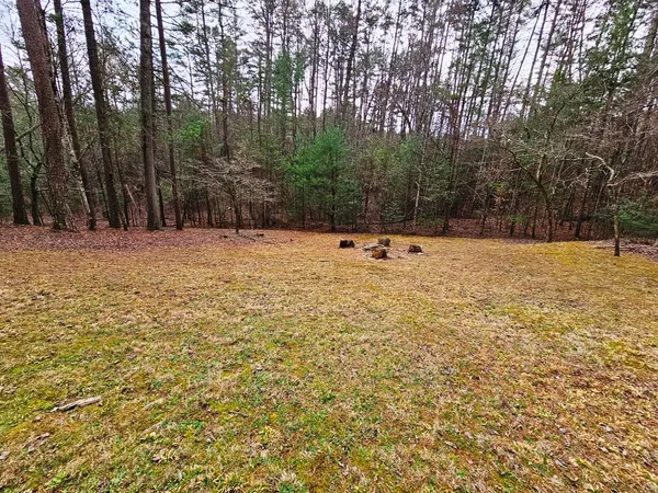 a view of a big yard with large trees