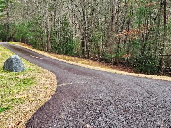 a view of swimming pool with large trees