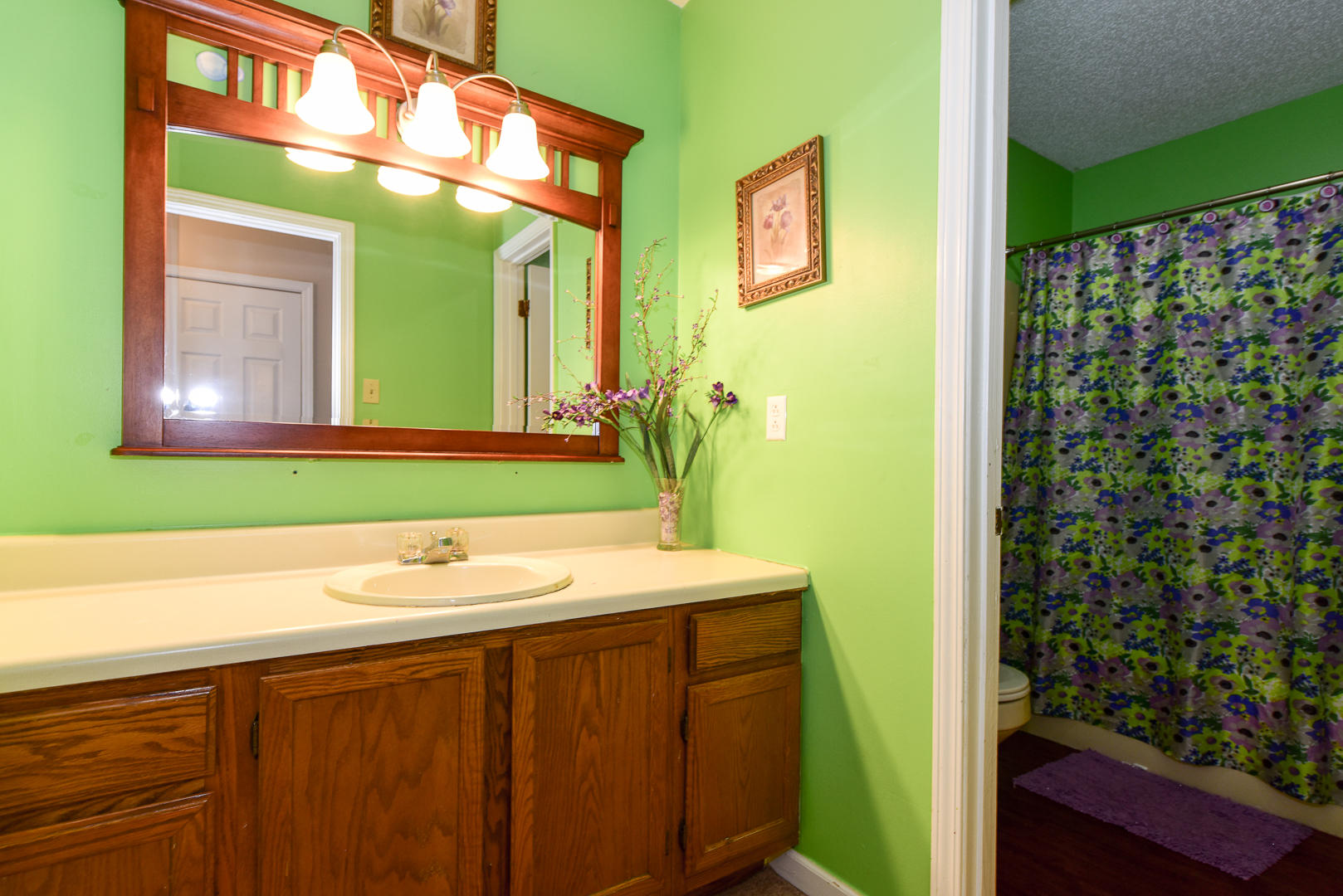 1307 Middlesettlements Road Maryville, TN 37801 - Photo 17 of 20 DSC_3129.jpg