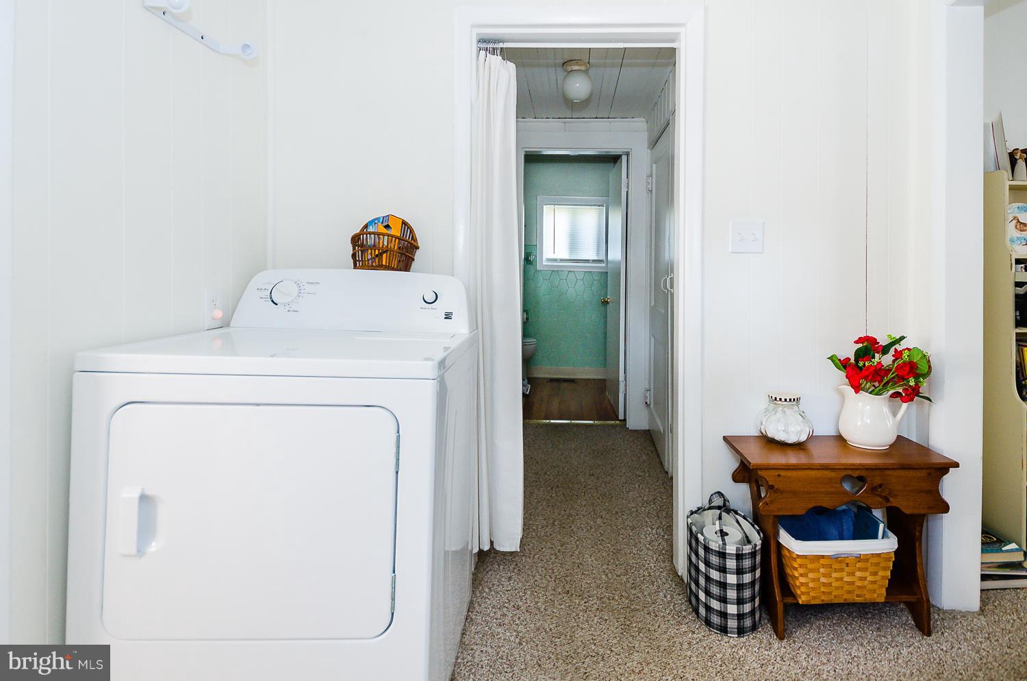 207 Cornfield Road Pasadena, MD 21122 - Photo 12 of 30 Area way with closets an bath at end