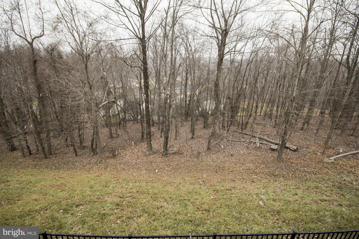 4304 Pearlberry Road Pikesville, MD 21208 - Photo 30 of 30 Private Rear View