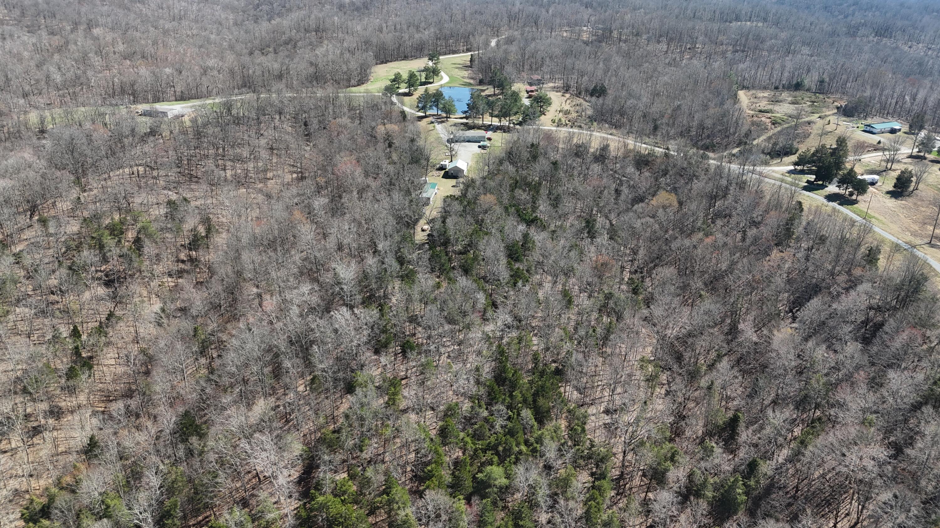 5488 Reese Hurt Road Breeding, KY 42715 - Photo 63 of 83 DJI_20260319141901_0188_D