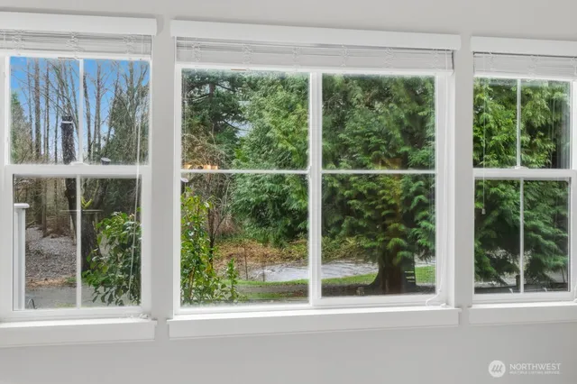 a view of a garden from a window