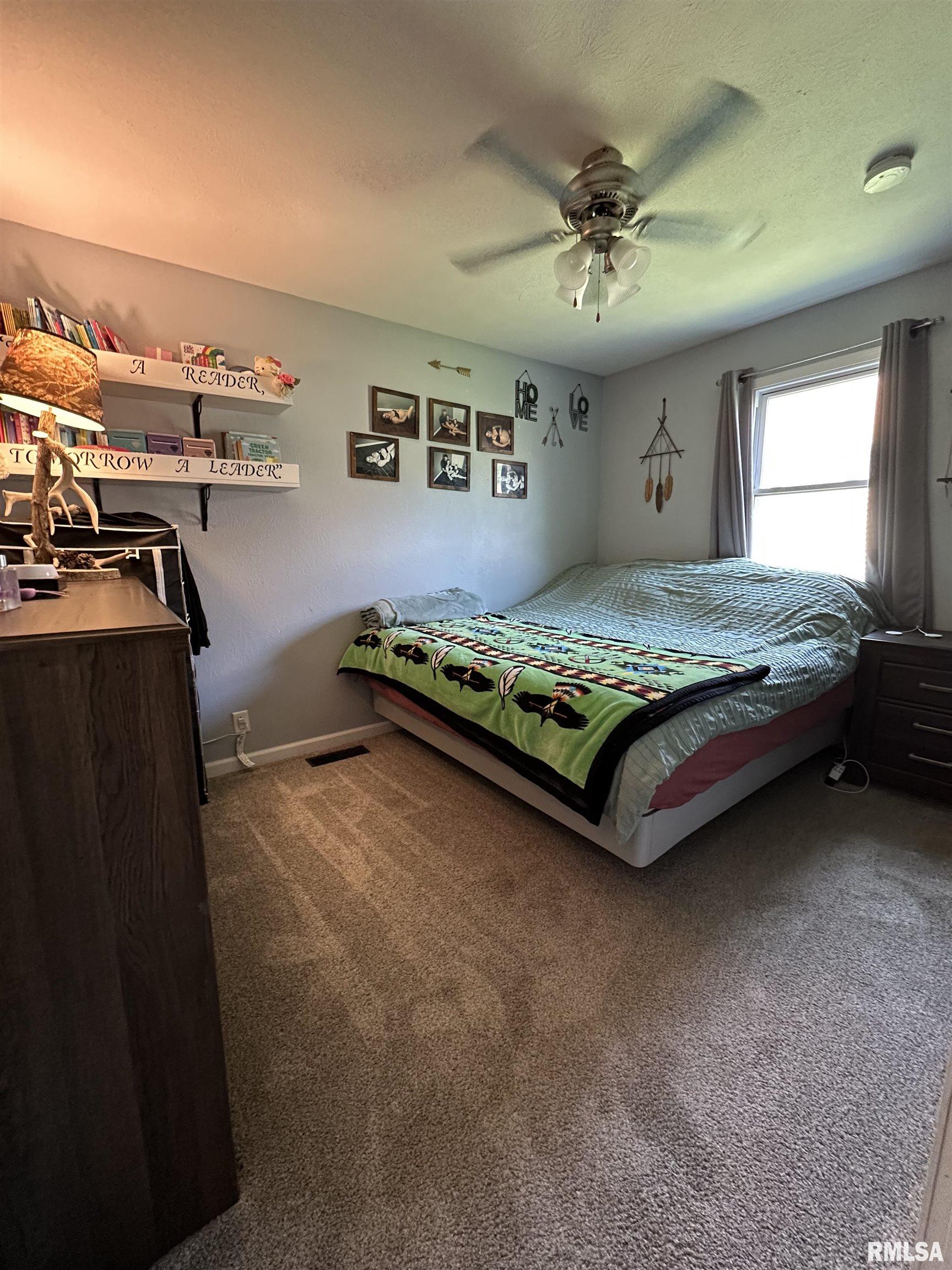 917 West Locust Street Canton, IL 61520 - Photo 9 of 11