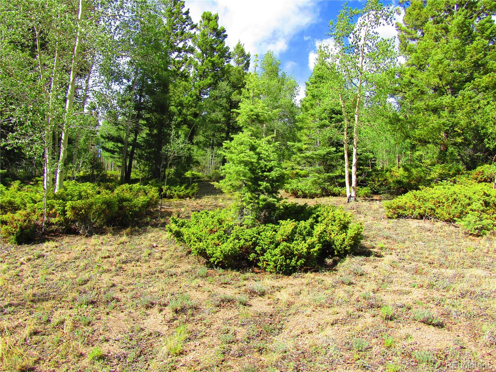 Lot 6093 Forbes Road San Luis, CO 81152 - Photo 6 of 14