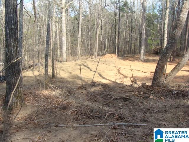 12961 Deer Chase Road, Unit 23 McCalla, AL 35111 - Photo 2 of 2