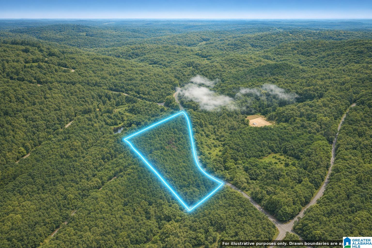 0 Bluff Springs Road, Unit X Ashland, AL 36251 - Photo 5 of 9