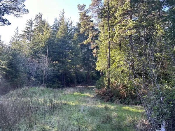 a view of backyard
