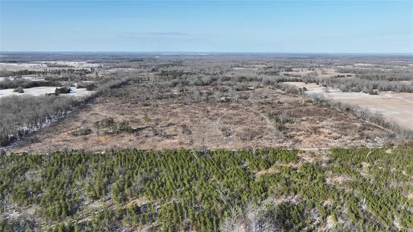 a view of a dry yard with trees