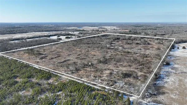 a view of a dry yard with wooden fence