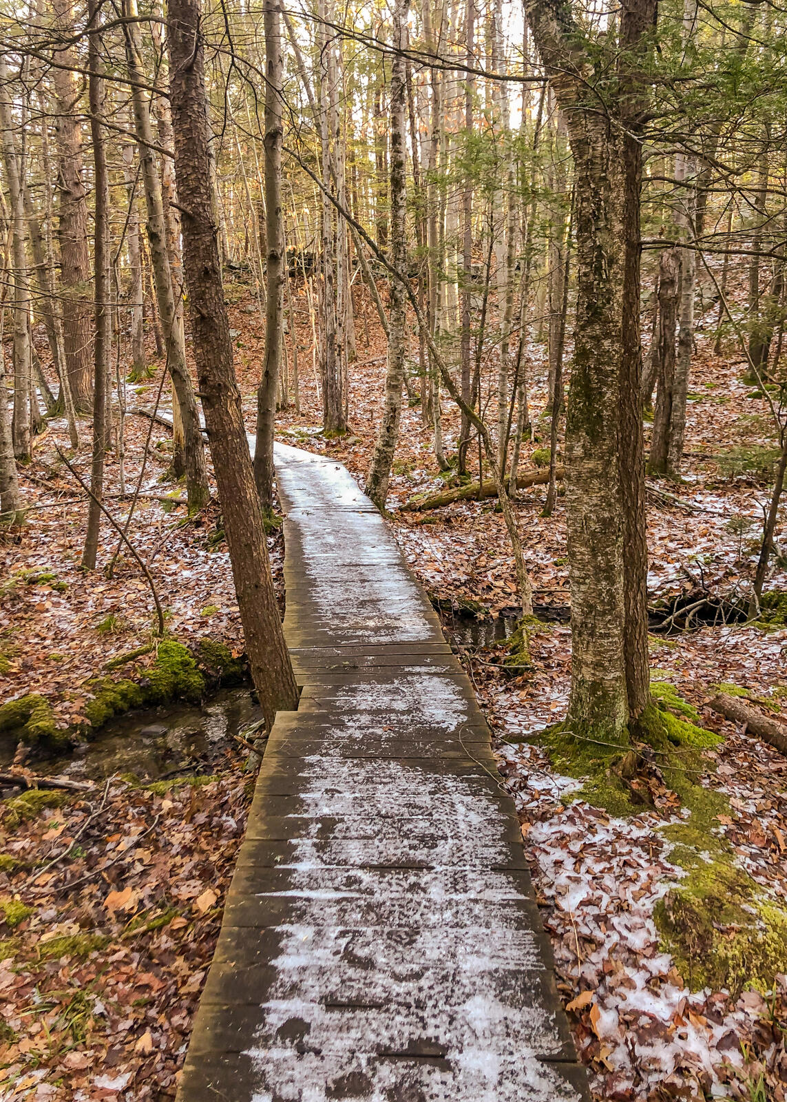 5 Quartz Knob Road Cape Elizabeth, ME 04107 - Photo 48 of 53 Cape Green Belt Trail 1