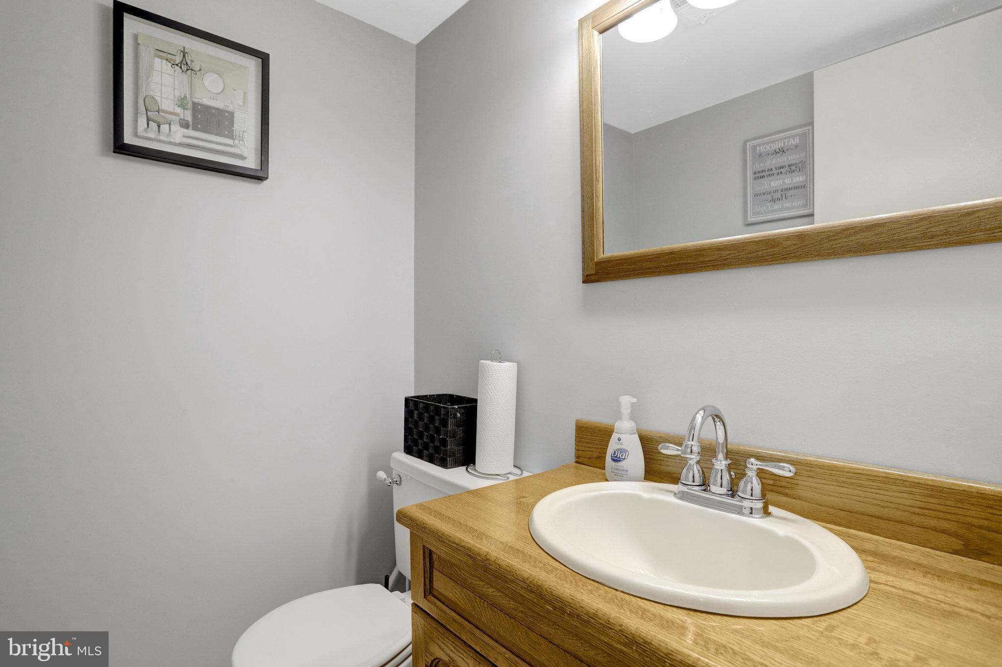 4518 Flintstone Road Alexandria, VA 22306 - Photo 50 of 62 a bathroom with a toilet a sink and mirror