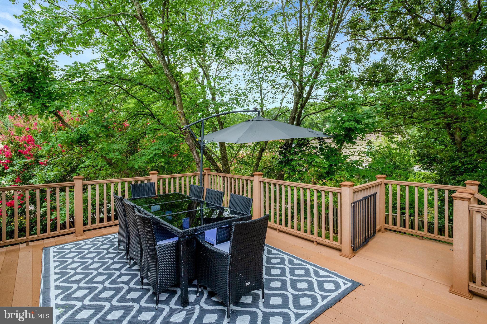 4518 Flintstone Road Alexandria, VA 22306 - Photo 52 of 62