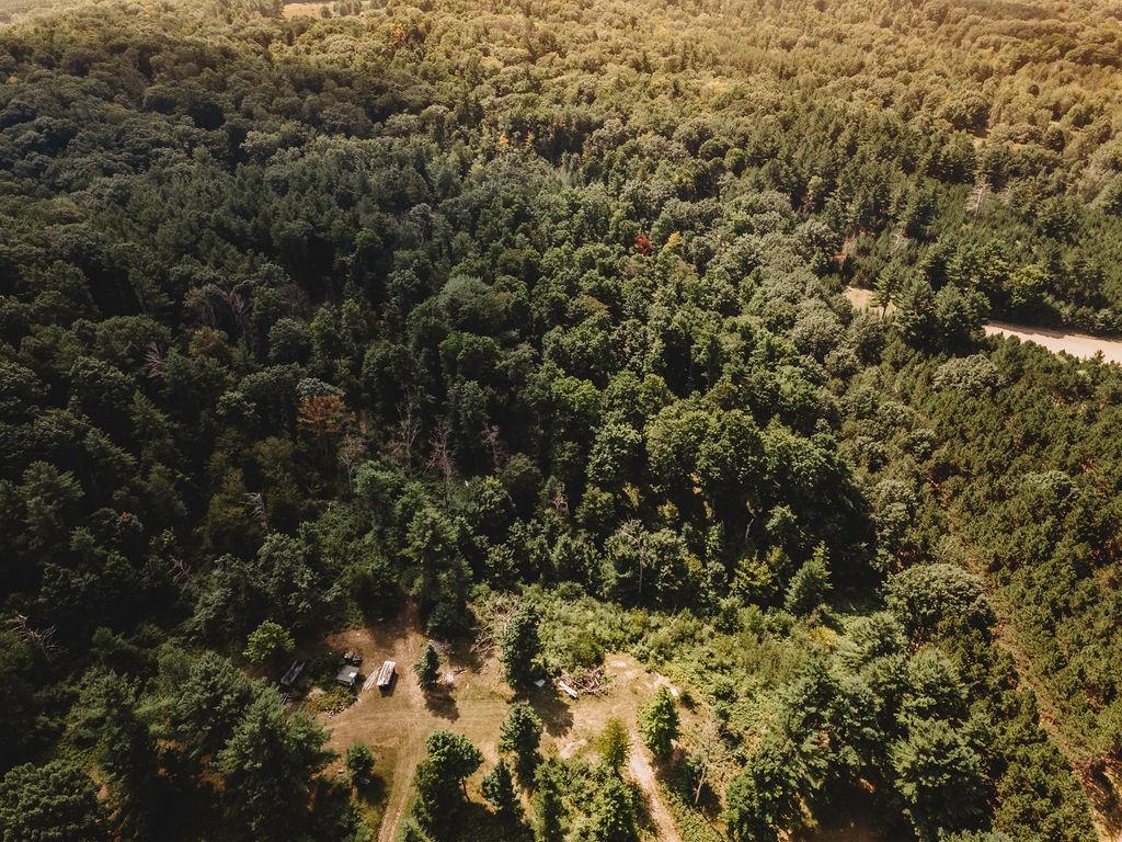 11268 Watson Road Williamsburg, MI 49690 - Photo 22 of 57