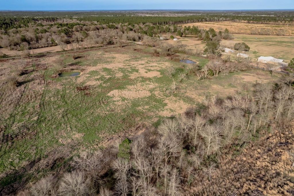 143 Piney Woods Road Trinity, TX 75862 - Photo 18 of 29
