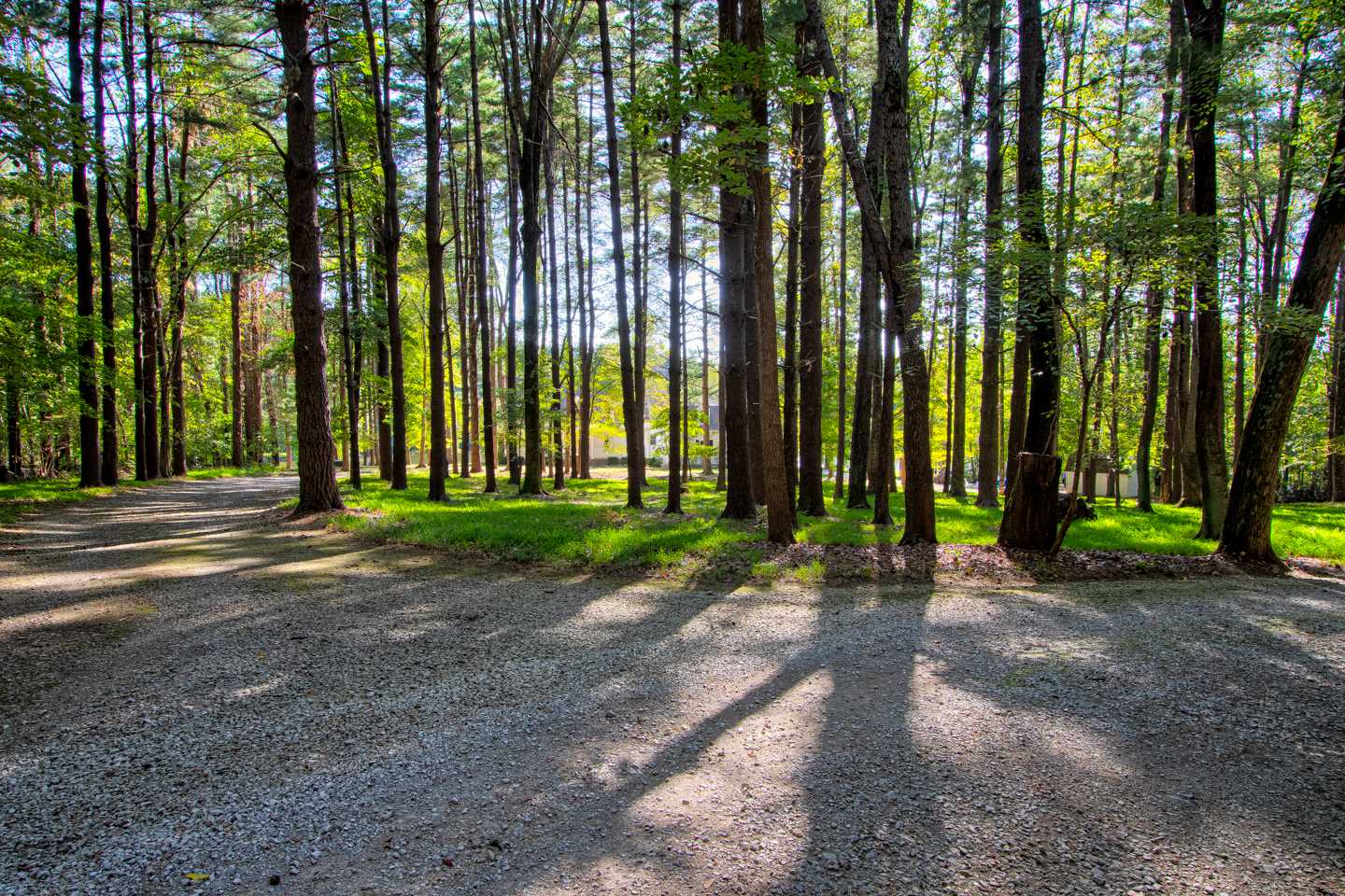 8835 Winternheimer Road Wadesville, IN 47638 - Photo 2 of 36 Gallery Image 2