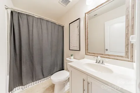 a bathroom with a sink a toilet a mirror and shower curtain
