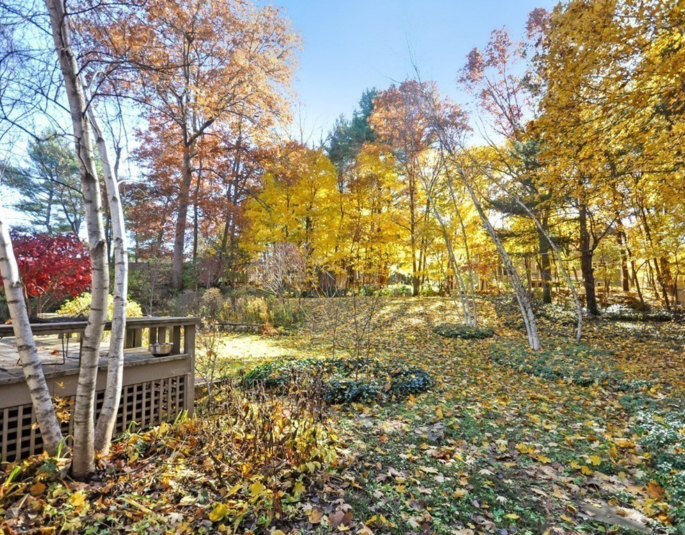 21 Arrowhead Road Concord, MA 01742 - Photo 4 of 22