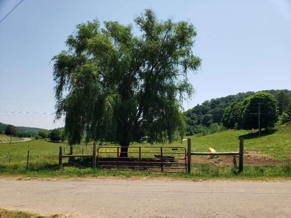 0 Harlan Road Rogersville, TN 37857 - Photo 1 of 5 00
