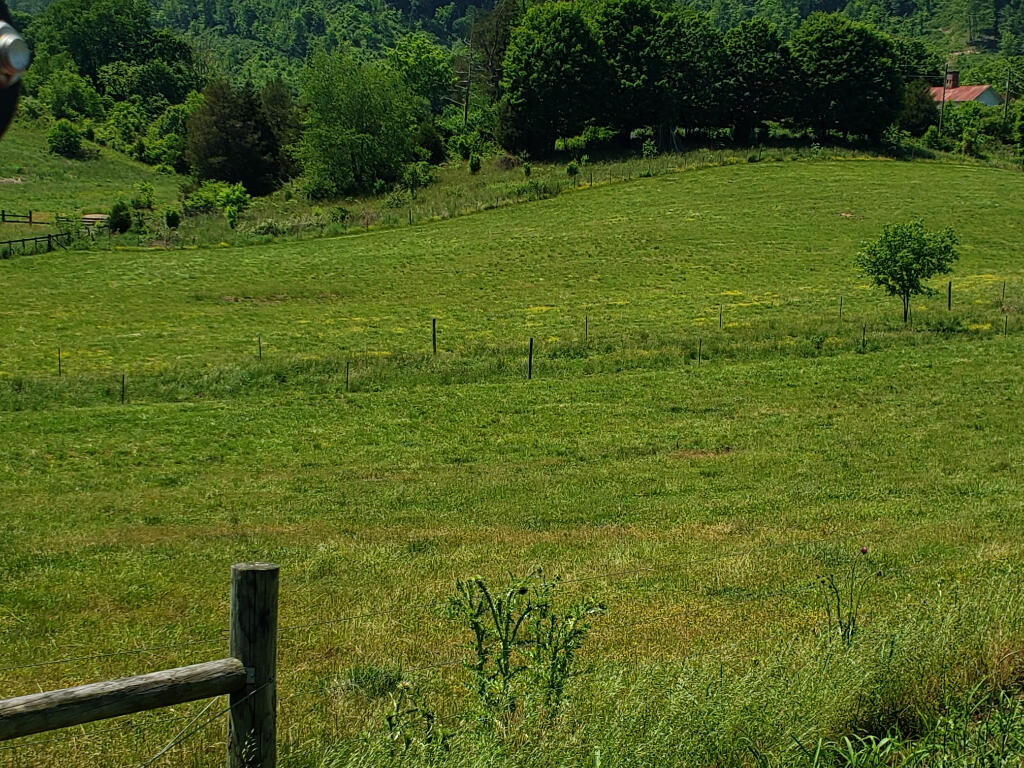 0 Harlan Road Rogersville, TN 37857 - Photo 2 of 5 01