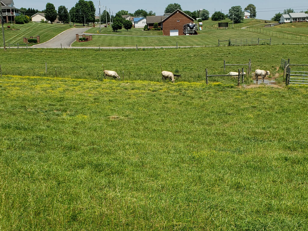 0 Harlan Road Rogersville, TN 37857 - Photo 3 of 5 02