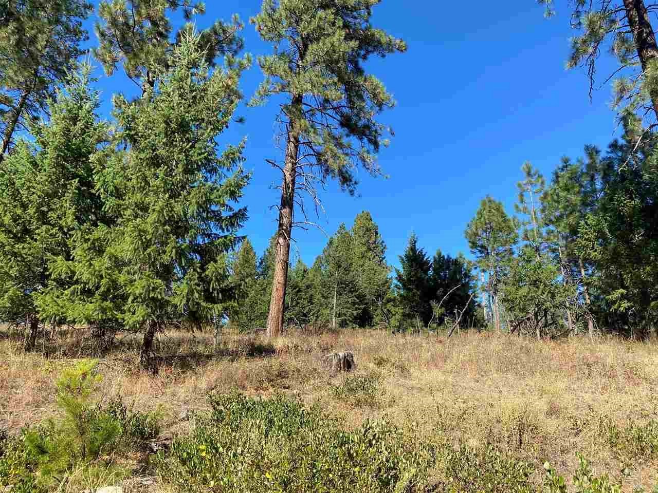 0 North Dunn Road Elk, WA 99009 - Photo 1 of 14