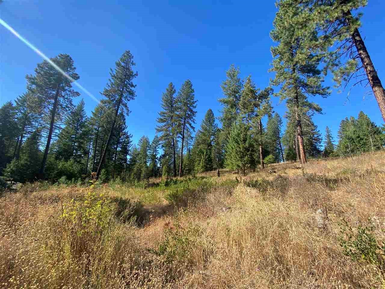 0 North Dunn Road Elk, WA 99009 - Photo 2 of 14