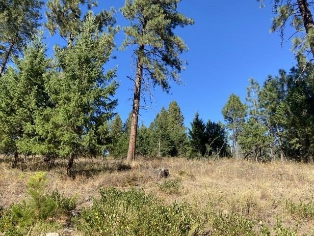 0 North Dunn Road Elk, WA 99009 - Photo 11 of 14